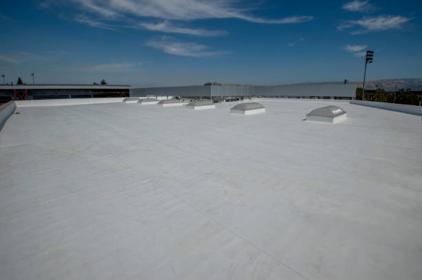 Best Roof Moss and Algae Removal  in Ballville, OH