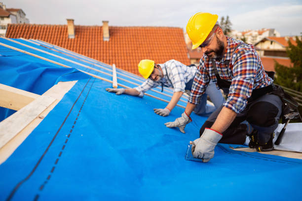 Best Emergency Roof Repair  in Ballville, OH